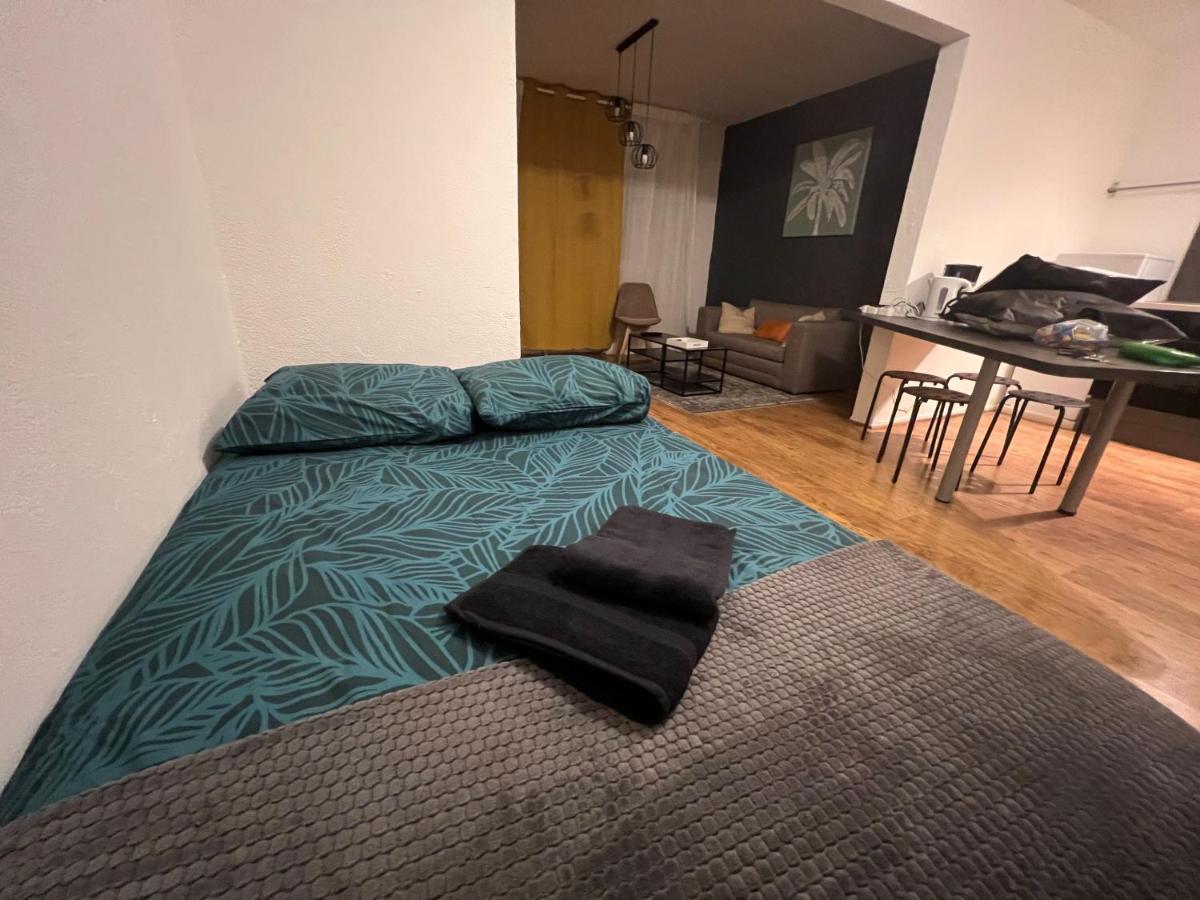 Mon Palmier Grand Appartement Parking Un-Sejour-A-Part Metz Exterior foto